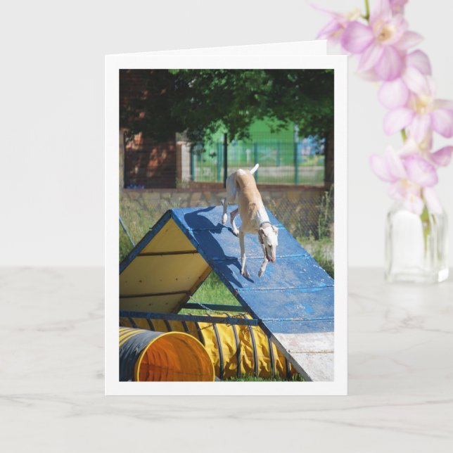 Dog at Training School Card (Orchid)