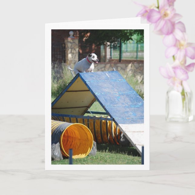 Dog at Training School Card (Orchid)