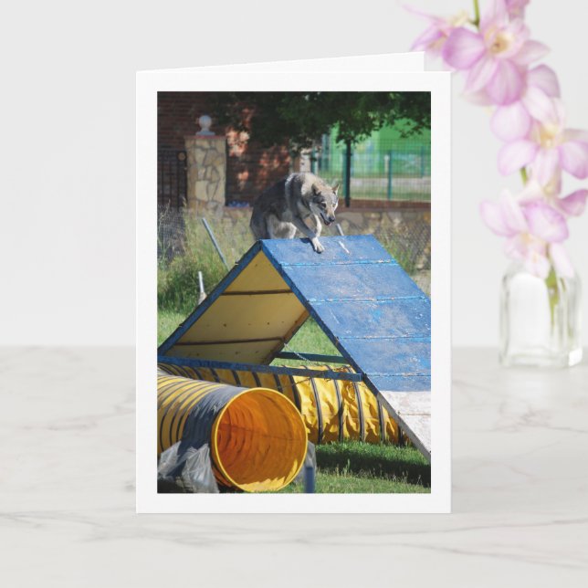 Dog at Training School Card (Orchid)