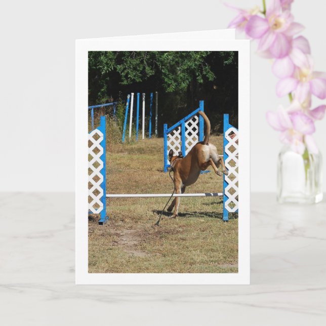 Dog at Training School Card (Orchid)