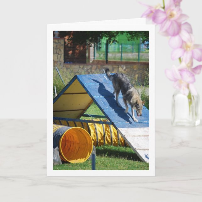 Dog at Training School Card (Orchid)