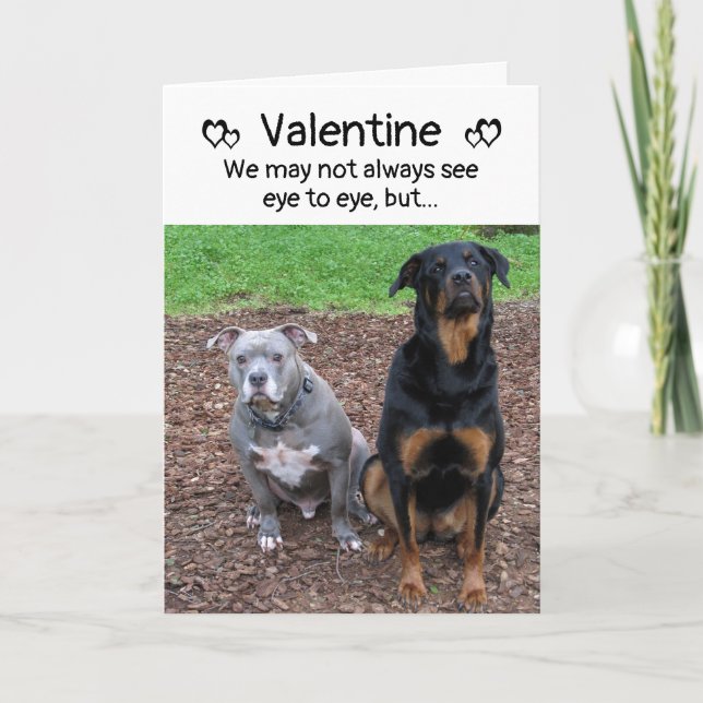 Dog Barks and Woofs Valentine's Day Card (Front)