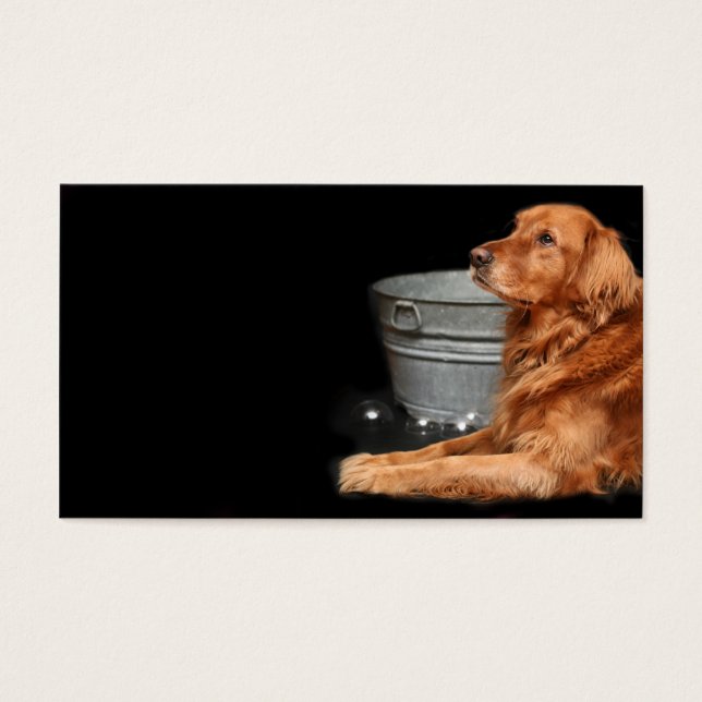 Dog bath (Front)