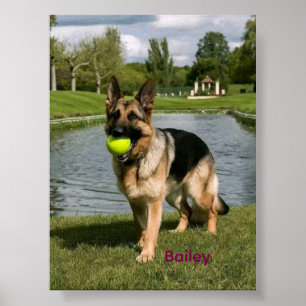 Dog Bathroom Wall Art, Boxer Taking a Bath Poster