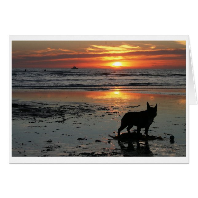Dog Beach (Front Horizontal)