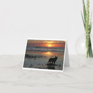 Dog Beach Card