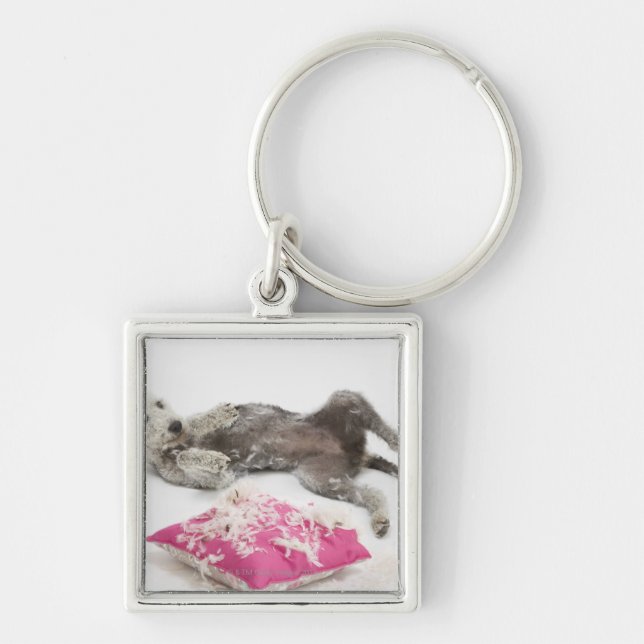 Dog behaviour training key ring (Front)