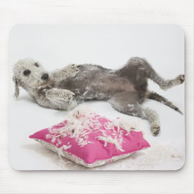 Dog behaviour training mouse pad (Front)