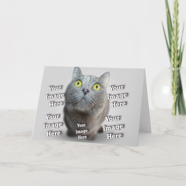 Dog Bird Cat Snake Pet Photo Template (Front)