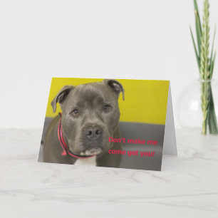 Dog Birthday Card