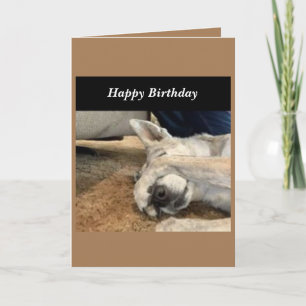 Dog Birthday Card