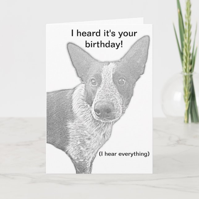 Dog Birthday Card Pun (Front)