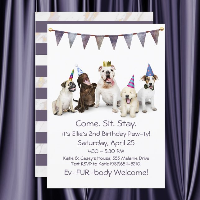 Dog Birthday Party Any Puppy Invitation (Creator Uploaded)