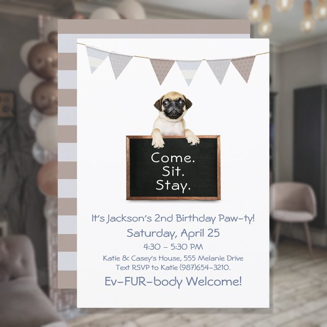Dog Birthday Party For Boy Pug Invitation (Creator Uploaded)