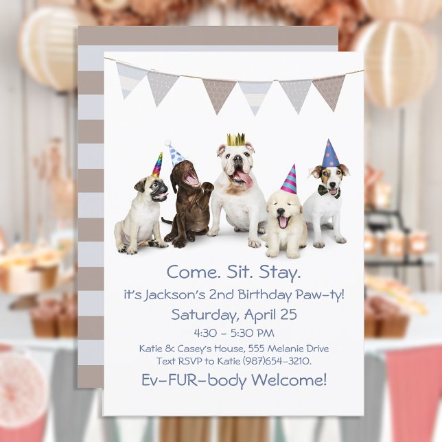 Dog Birthday Party For Boy Puppy Invitation (Creator Uploaded)