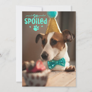 Dog Birthday Party Invitation For Fur Friends