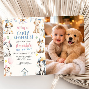 Dog Birthday Party Puppy Pawty Birthday Photo Invitation