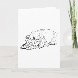 Dog Birthday, Wire Haired Dachshund - Cute  Card