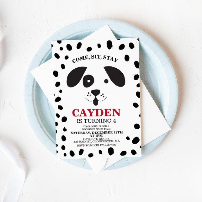 Dog black and white spot Birthday Invitation (Creator Uploaded)