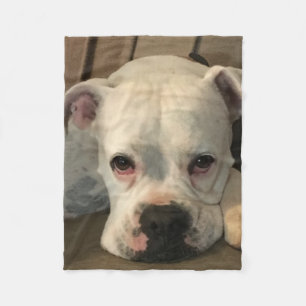 Dog Blanket
