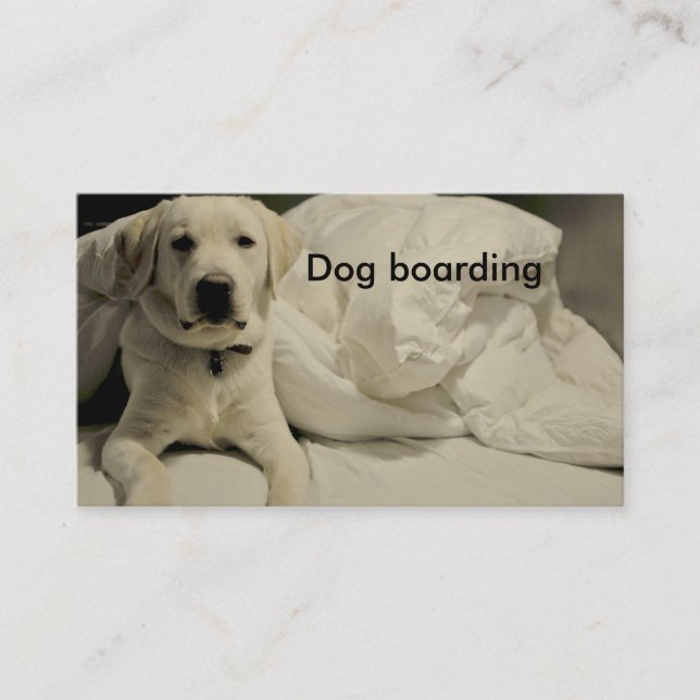 Dog boarding/kennel business card (Front)