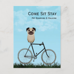 Dog Boarding, Walking, Sitting, Training Business Postcard