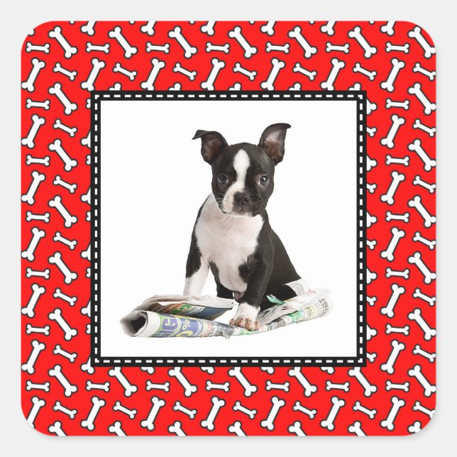 Dog Bone Christmas Red Photo Frame for Pet Photo Square Sticker (Front)