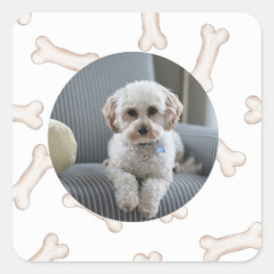 Dog Bone Photo Custom Stickers