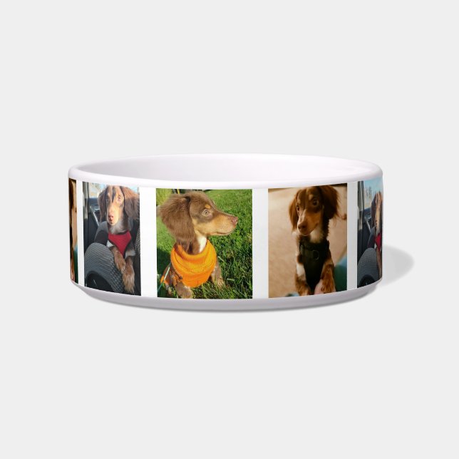dog bowl (Front)