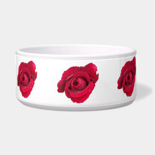 Dog Bowl Beautiful Red Rose