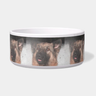 Dog Bowl German Shepherd Sticking Tongue Out