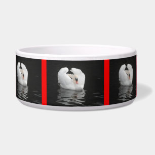 Dog Bowl Swan River Swimming