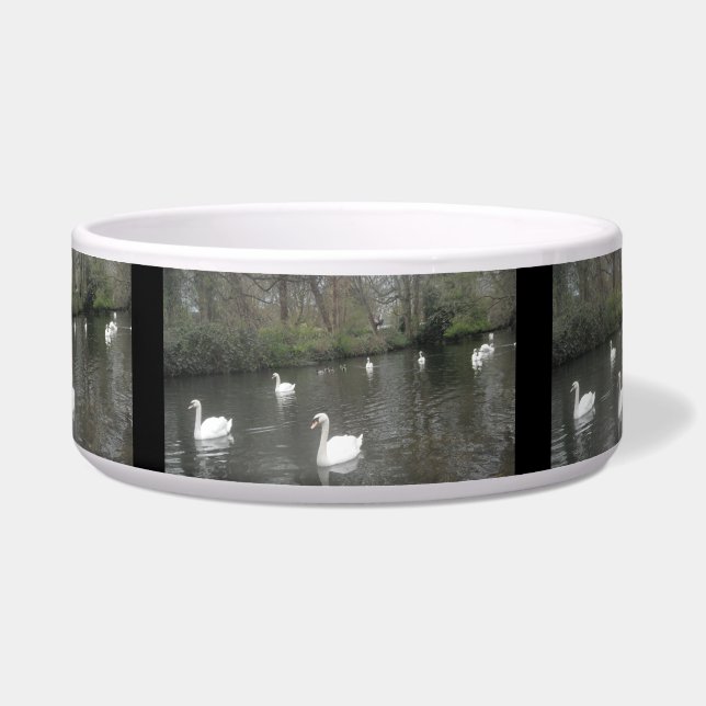Dog Bowl Swans River Swimming (Front)