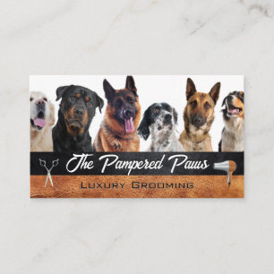 Dog Breeds   Pet Grooming Tools Business Card