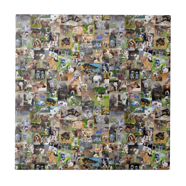 Dog Breeds Photo Collage,  Tile (Front)