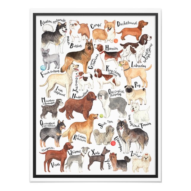 Dog Breeds Photo Print (Front)