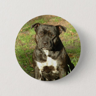Dog breeds Staffy 6 Cm Round Badge