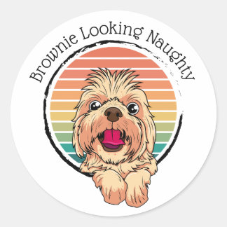 Dog Brownie Looking Naughty Classic Round Sticker