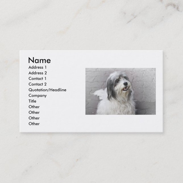 Dog Business Card (Front)