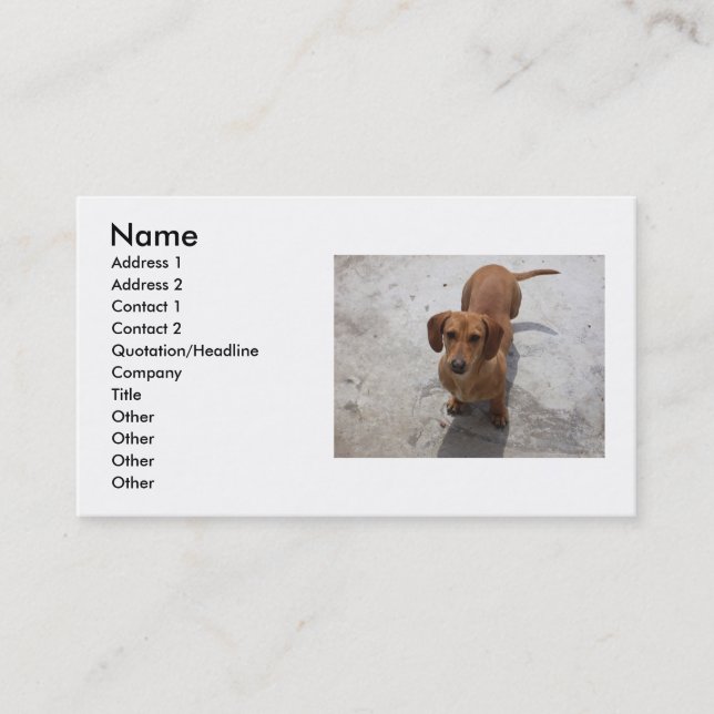 Dog Business Card (Front)