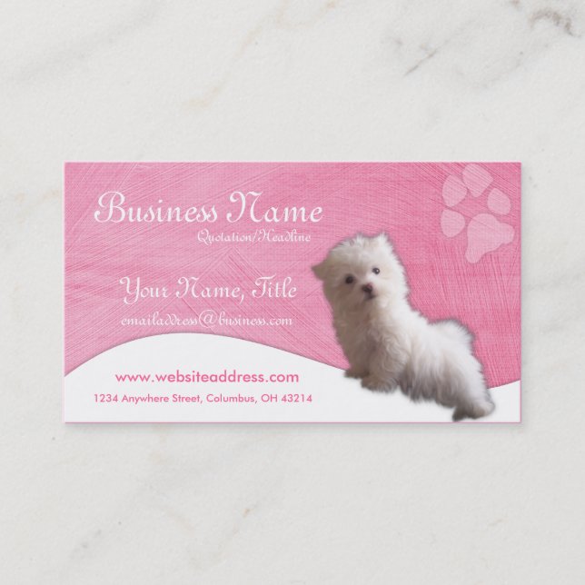 Dog Business Cards :: Maltese Puppy (Front)