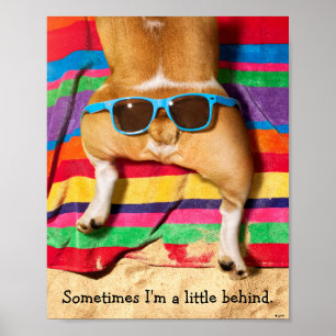 Dog Butt With Sunglasses Poster