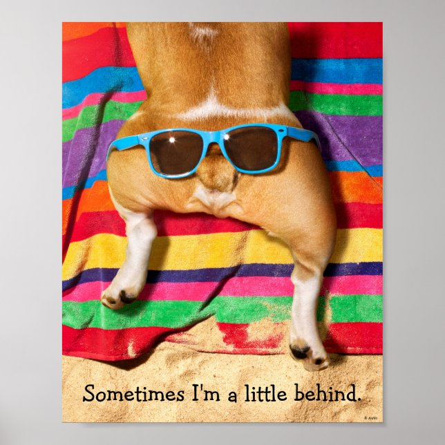 Dog Butt With Sunglasses Poster (Front)