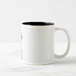 Dog by doghouse Two-Tone coffee mug