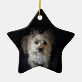 Dog Cairn Terrier Canine “Dog Lover” Star Ornament