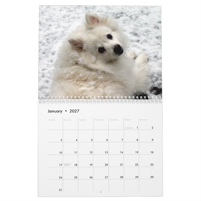 Dog Calendar (Jan 2027)