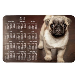 Dog calendar 2018 Photo Large Magnet 4x6
