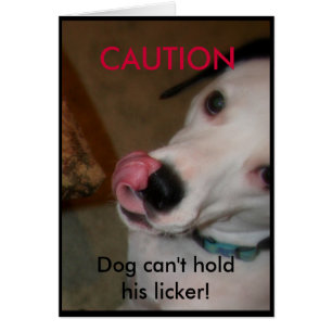 Dog can't hold his licker!