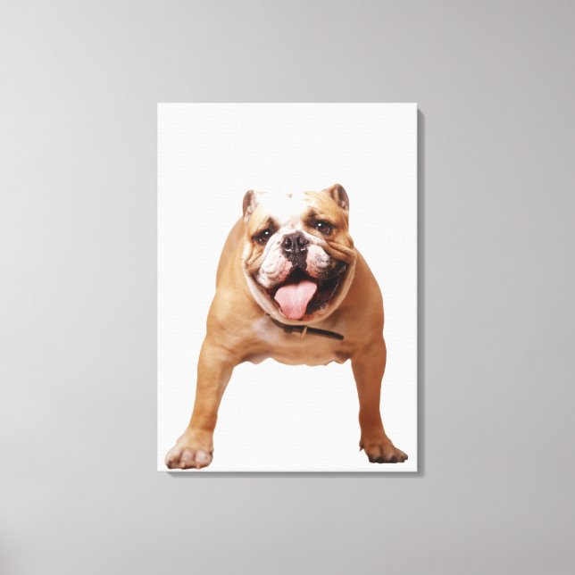 ,dog canvas print (Front)