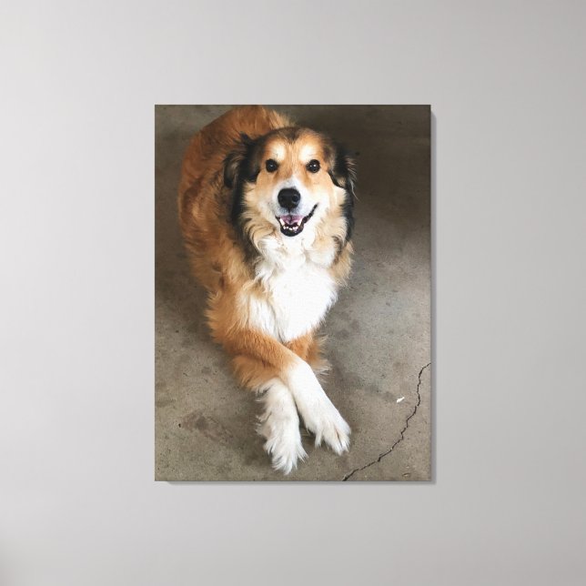 Dog Canvas Print (Front)
